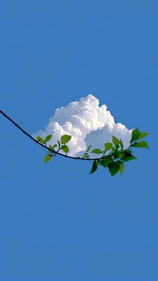 A single cumulus cloud and a leafy vine against a flat blue sky