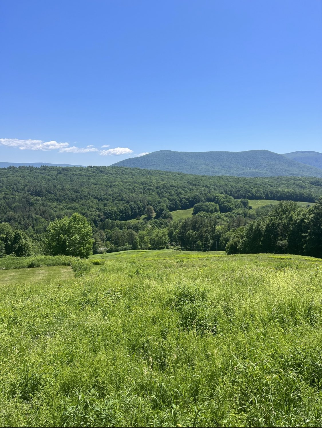 A wide green meadow giving way to wooded hills and distant mountains